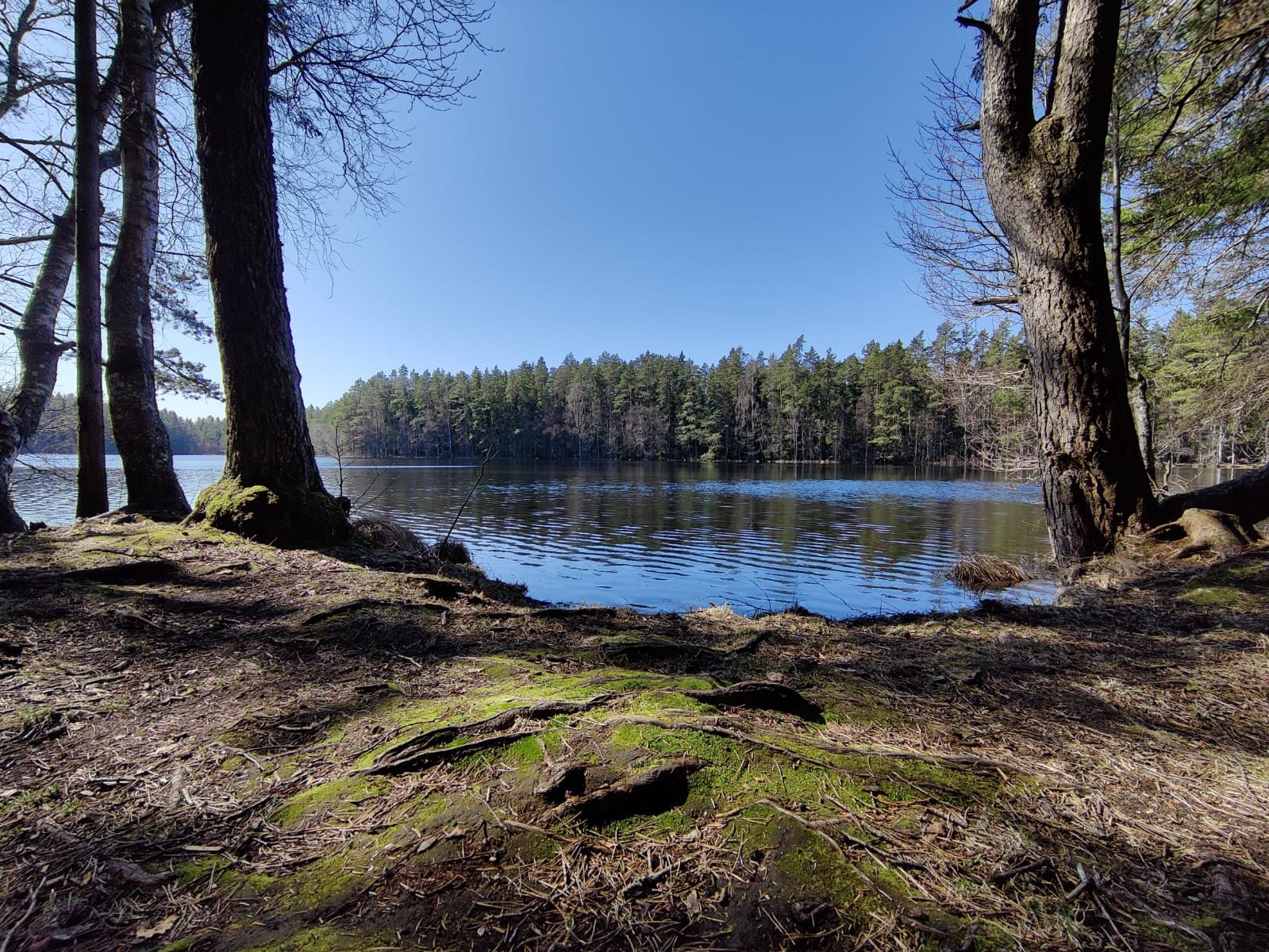 RMK Järvi Pikkjärve telkimisala